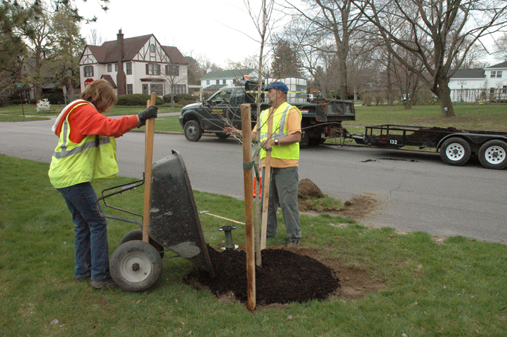 Tree Planting Crew